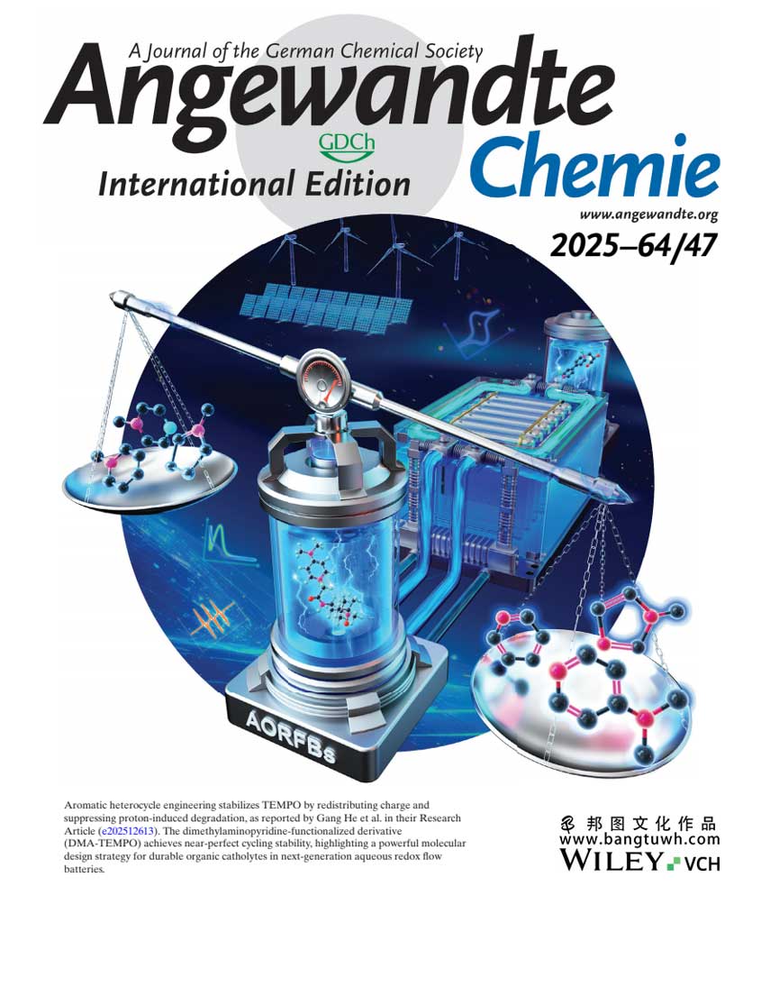 Angew 西安交通大学