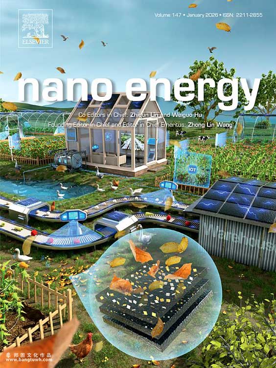nano energy 深圳技术大学